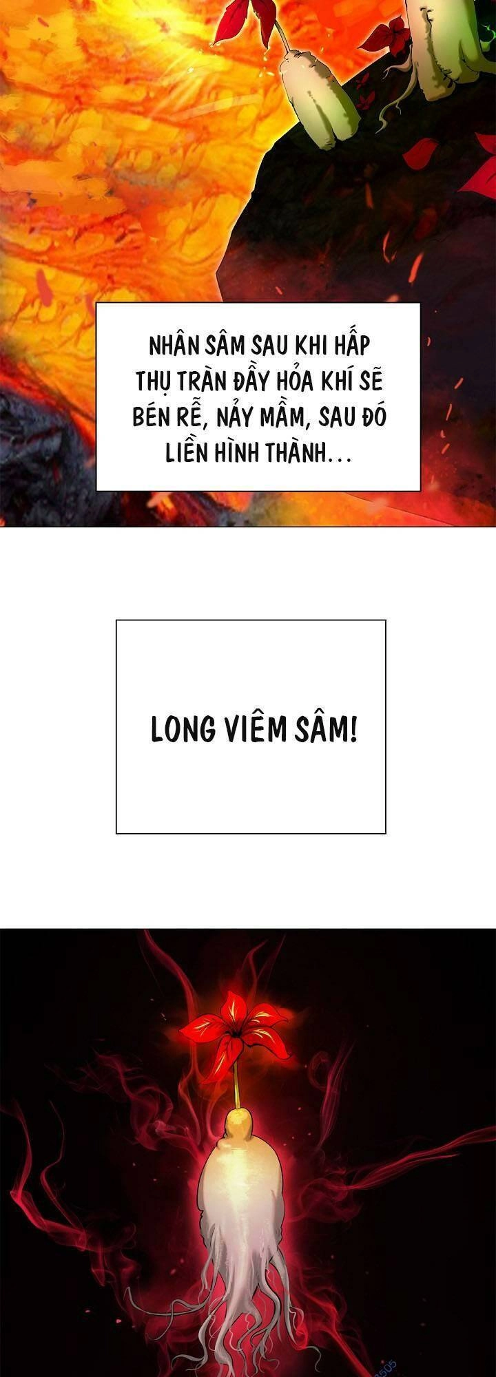 Lãng Tiên Kỳ Đàm Chapter 114 - 4