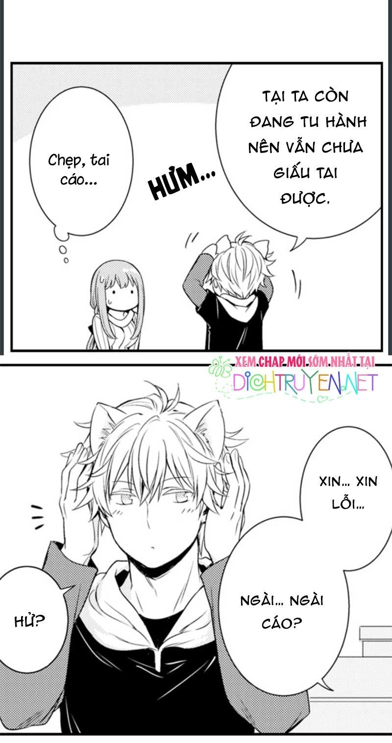 Cô Dâu Cửu Vỹ Hồ Chapter 5 - 12