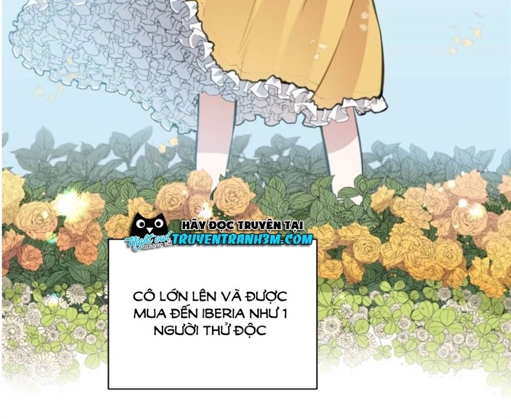 Xuyên Không Trở Thành Hầu Nữ Trong Tiểu Thuyết Chapter 1 - 23