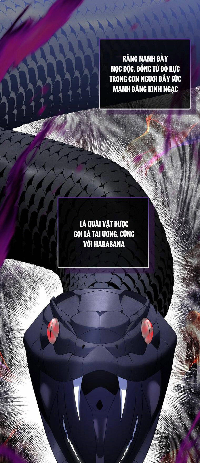 Nguyện Trở Thành Thanh Kiếm Trung Thành Bảo Vệ Em Chapter 60.1 - 16