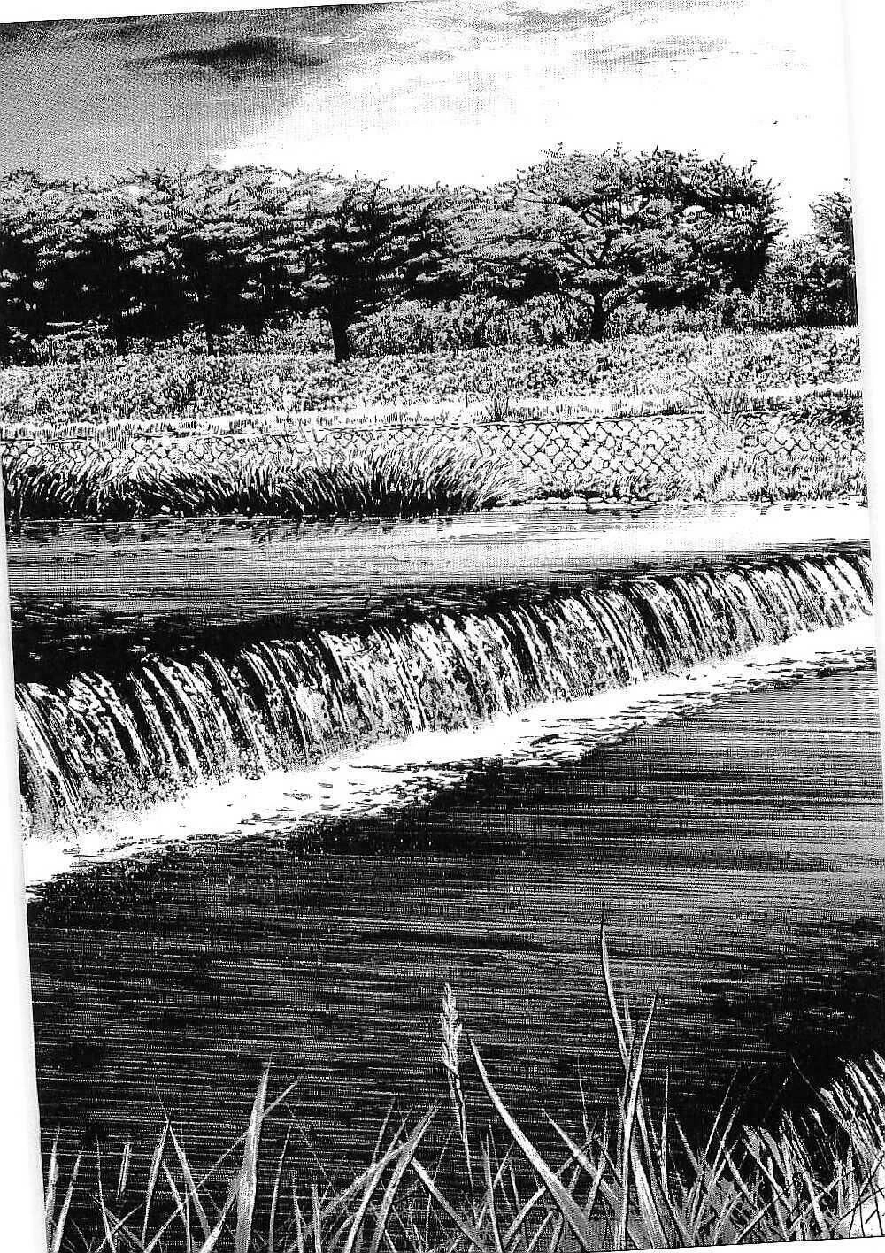 Bestia Chapter 12 - 27