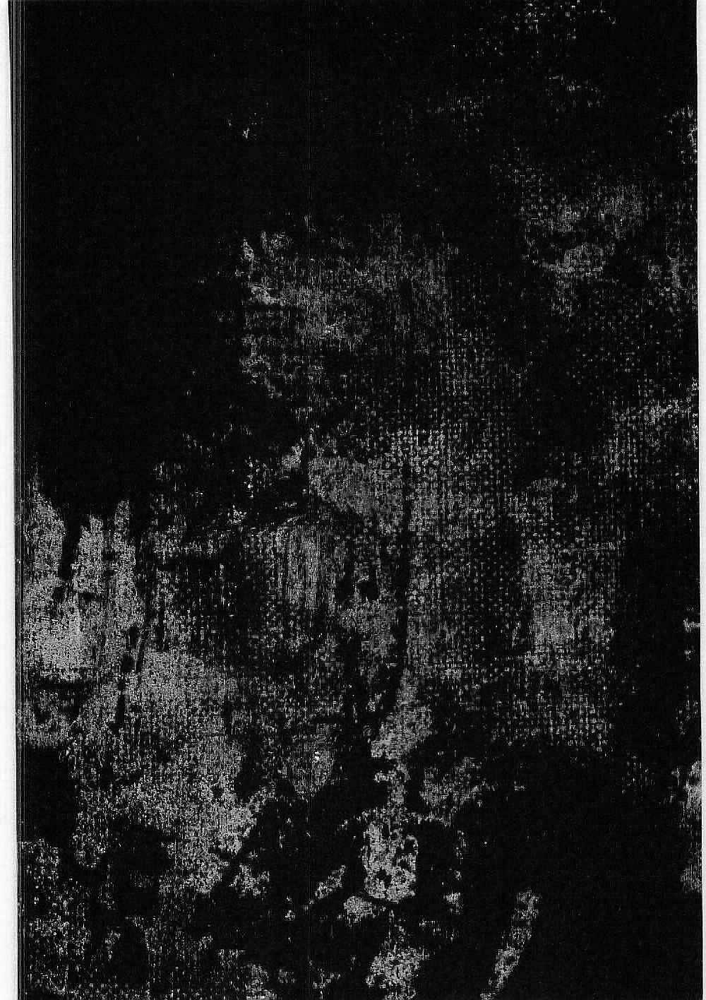 Bestia Chapter 12 - 50