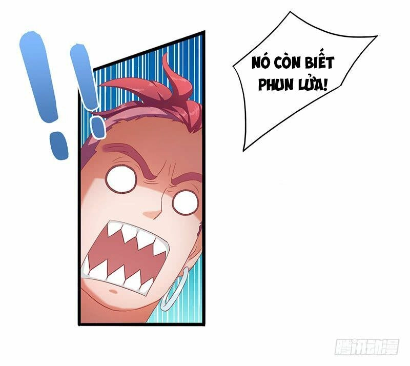 Hỗn Độn Kiếm Thần Chapter 17 - 13