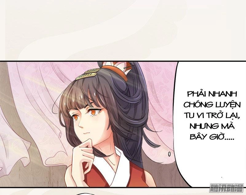 Tuyệt Thế Luyện Đan Sư Chapter 3 - 12