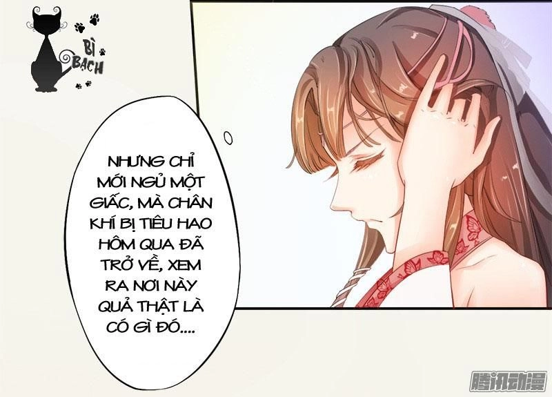 Tuyệt Thế Luyện Đan Sư Chapter 5 - 46