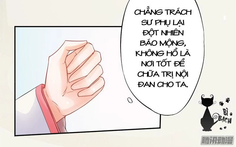 Tuyệt Thế Luyện Đan Sư Chapter 6 - 9