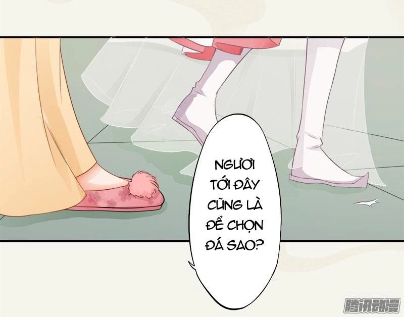 Tuyệt Thế Luyện Đan Sư Chapter 6 - 19