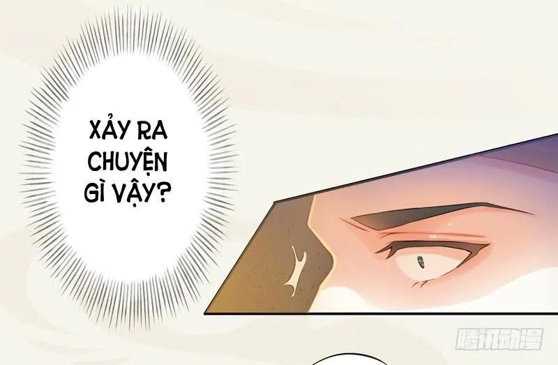 Tuyệt Thế Luyện Đan Sư Chapter 9 - 5