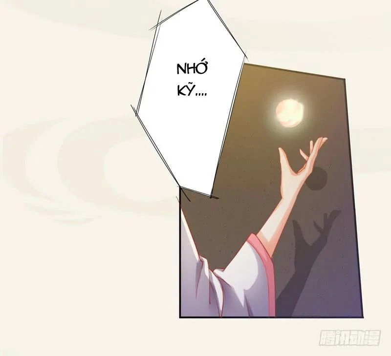 Tuyệt Thế Luyện Đan Sư Chapter 9 - 23