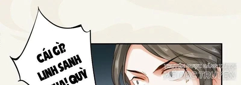 Tuyệt Thế Luyện Đan Sư Chapter 9 - 36