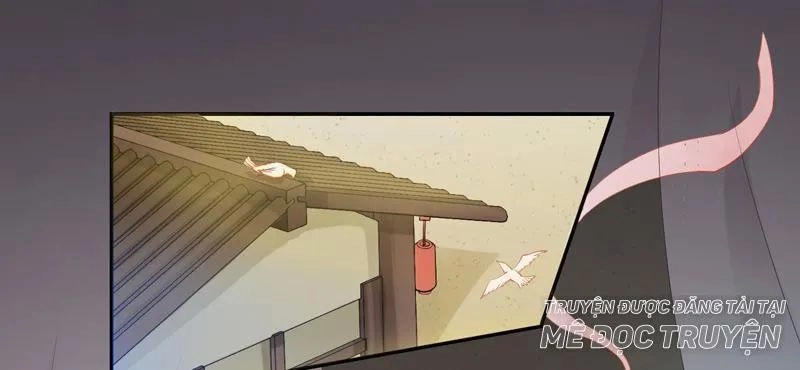 Tuyệt Thế Luyện Đan Sư Chapter 9 - 51