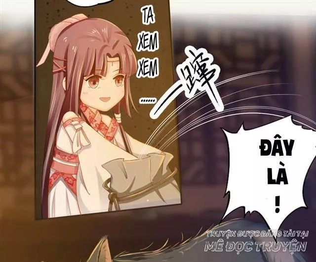 Tuyệt Thế Luyện Đan Sư Chapter 17 - 11