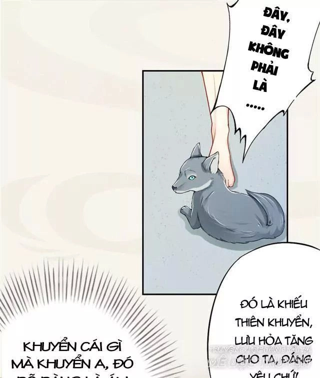 Tuyệt Thế Luyện Đan Sư Chapter 17 - 26