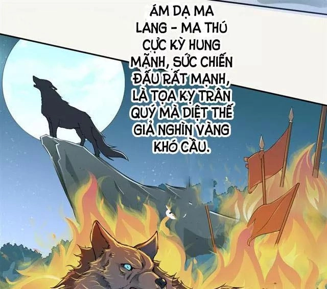 Tuyệt Thế Luyện Đan Sư Chapter 17 - 28