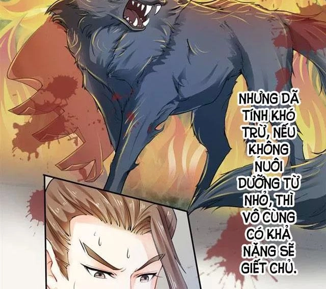 Tuyệt Thế Luyện Đan Sư Chapter 17 - 29