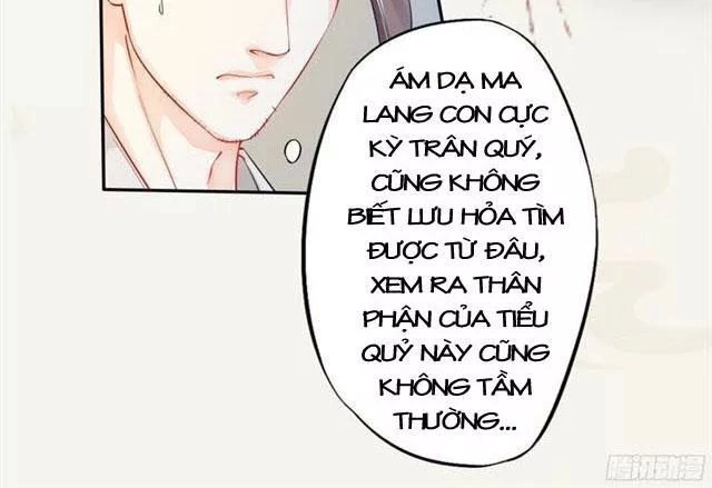 Tuyệt Thế Luyện Đan Sư Chapter 17 - 30