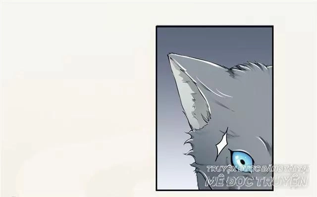 Tuyệt Thế Luyện Đan Sư Chapter 17 - 31