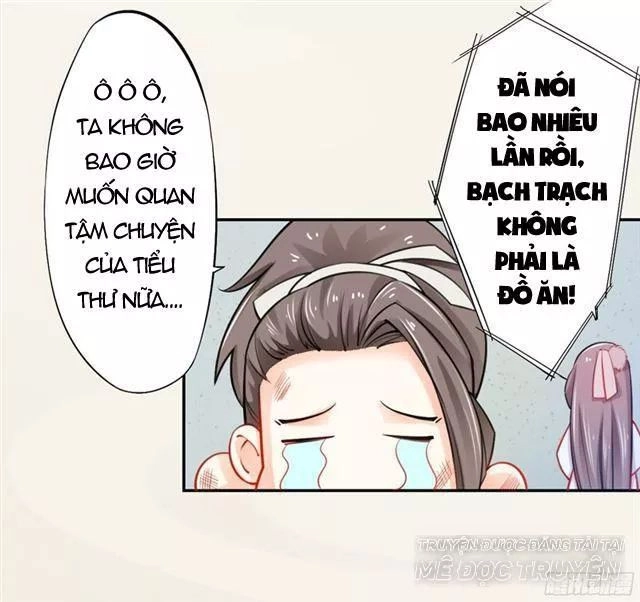 Tuyệt Thế Luyện Đan Sư Chapter 17 - 36