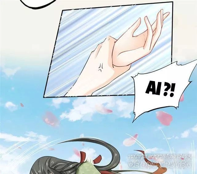 Tuyệt Thế Luyện Đan Sư Chapter 17 - 46