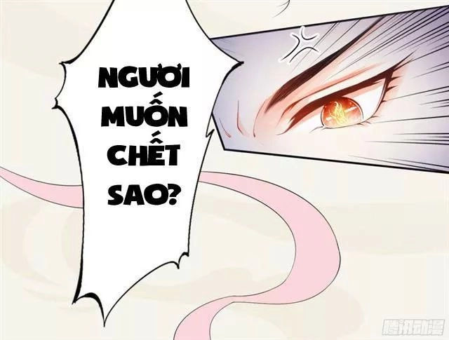 Tuyệt Thế Luyện Đan Sư Chapter 17 - 48