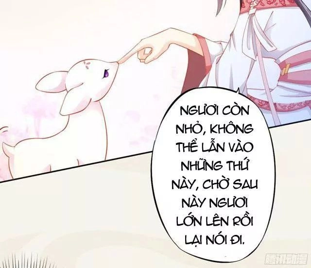 Tuyệt Thế Luyện Đan Sư Chapter 18 - 40