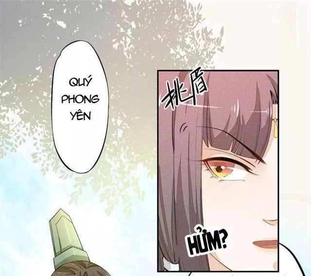 Tuyệt Thế Luyện Đan Sư Chapter 23 - 30