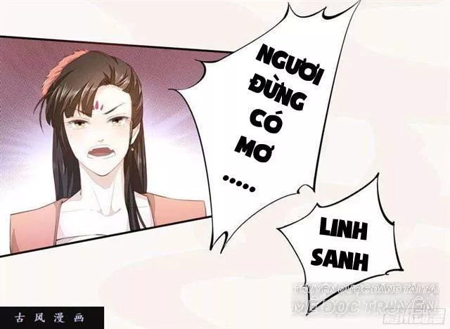 Tuyệt Thế Luyện Đan Sư Chapter 24 - 6