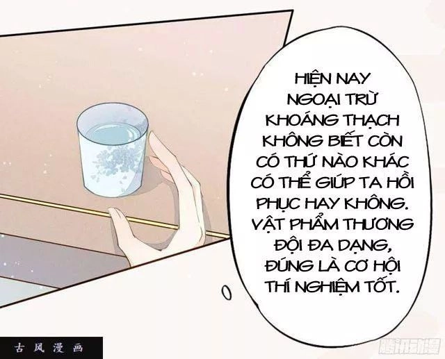 Tuyệt Thế Luyện Đan Sư Chapter 24 - 33