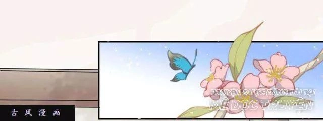 Tuyệt Thế Luyện Đan Sư Chapter 24 - 41