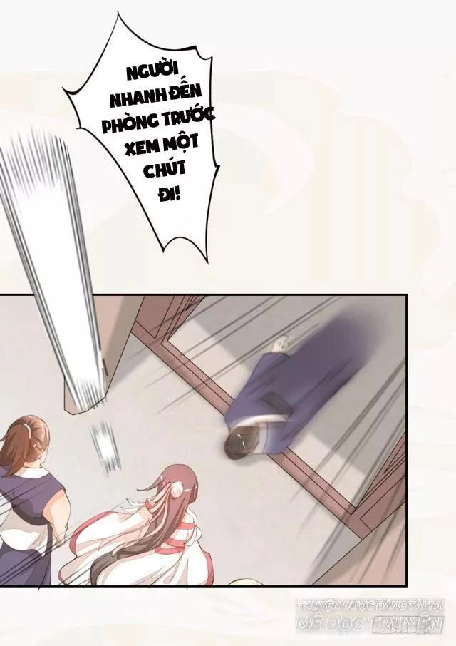 Tuyệt Thế Luyện Đan Sư Chapter 28 - 6