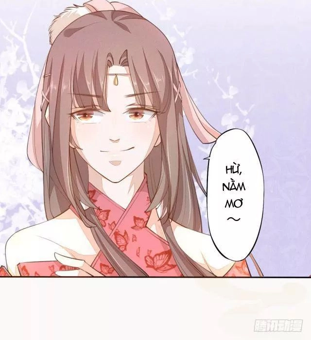 Tuyệt Thế Luyện Đan Sư Chapter 28 - 19