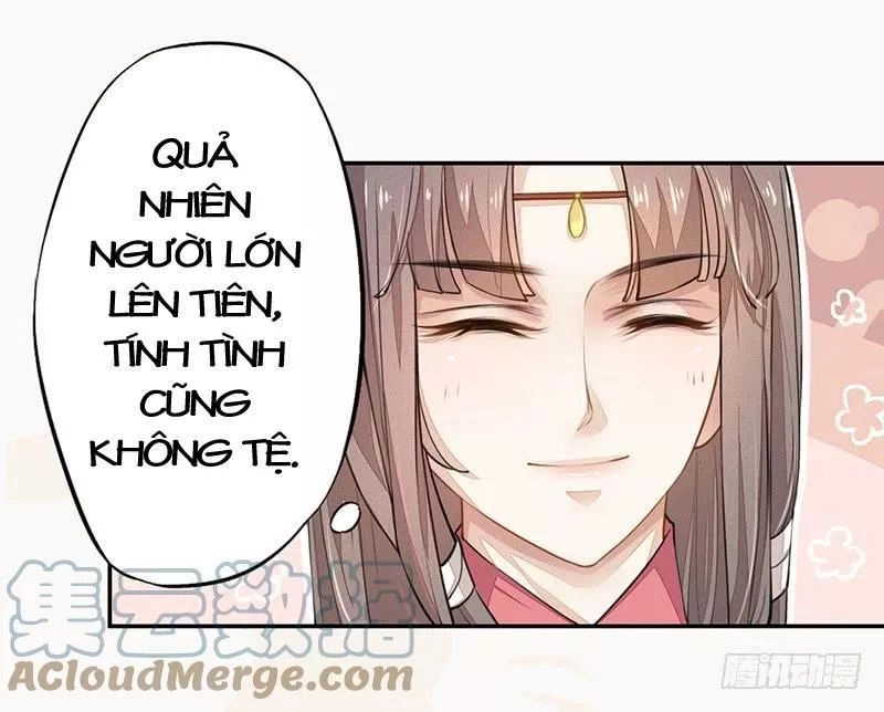 Tuyệt Thế Luyện Đan Sư Chapter 30 - 13