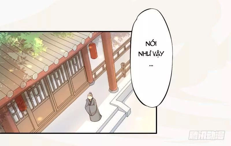 Tuyệt Thế Luyện Đan Sư Chapter 31 - 25