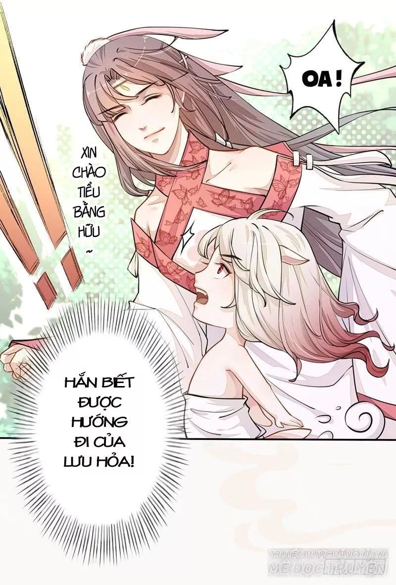 Tuyệt Thế Luyện Đan Sư Chapter 34 - 11