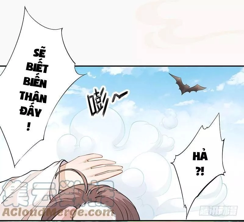 Tuyệt Thế Luyện Đan Sư Chapter 34 - 14