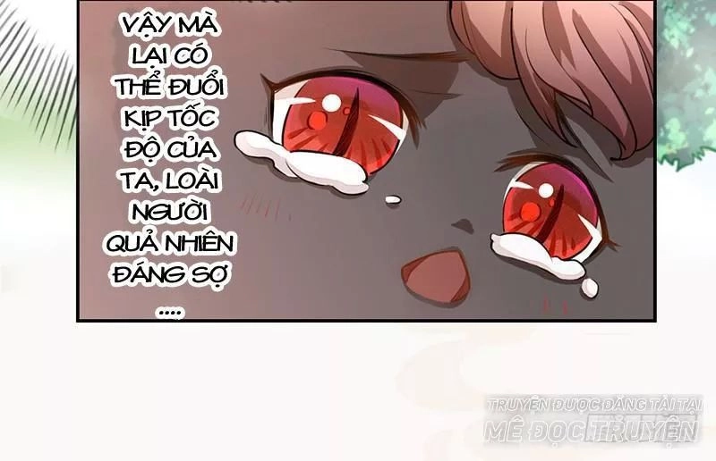 Tuyệt Thế Luyện Đan Sư Chapter 34 - 16