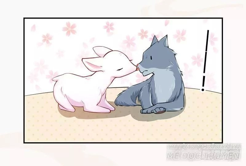 Tuyệt Thế Luyện Đan Sư Chapter 34 - 36