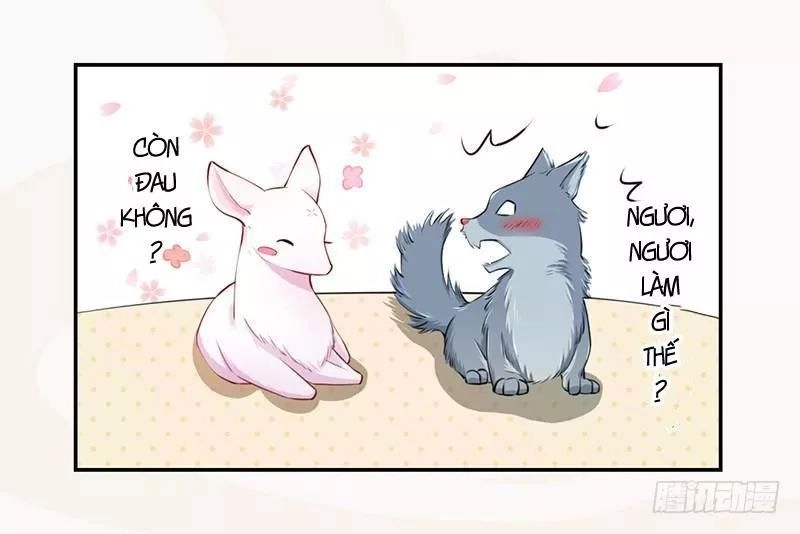 Tuyệt Thế Luyện Đan Sư Chapter 34 - 37