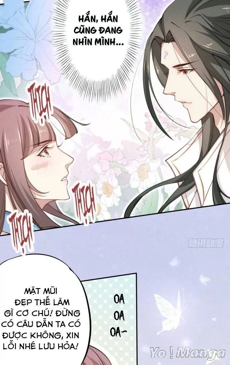 Tuyệt Thế Luyện Đan Sư Chapter 40 - 19