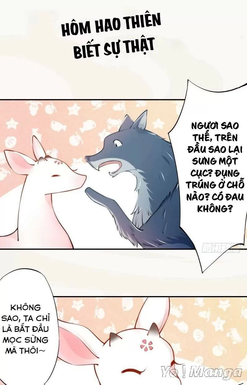 Tuyệt Thế Luyện Đan Sư Chapter 51 - 28