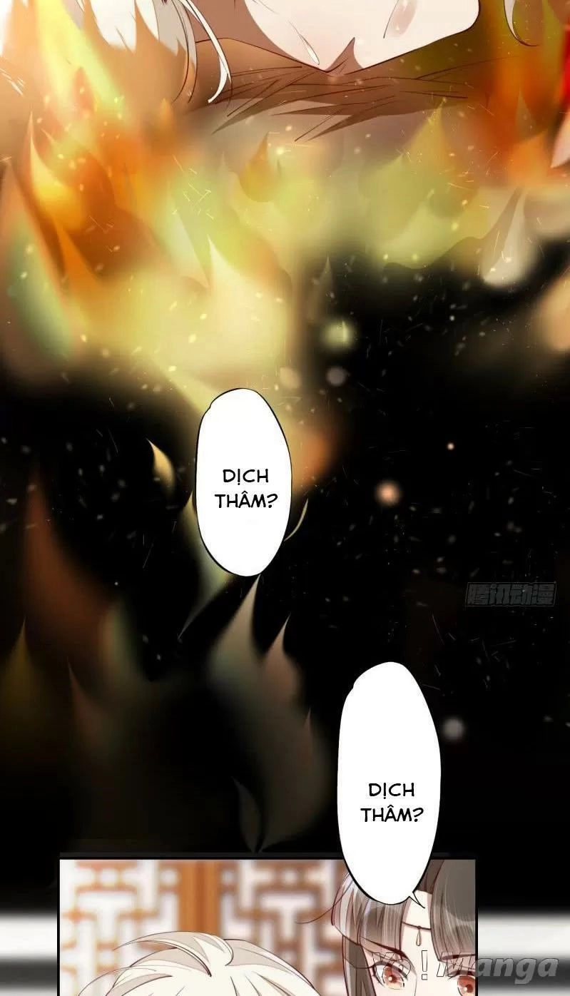 Tuyệt Thế Luyện Đan Sư Chapter 65 - 12