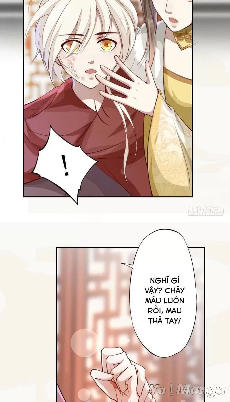 Tuyệt Thế Luyện Đan Sư Chapter 65 - 13