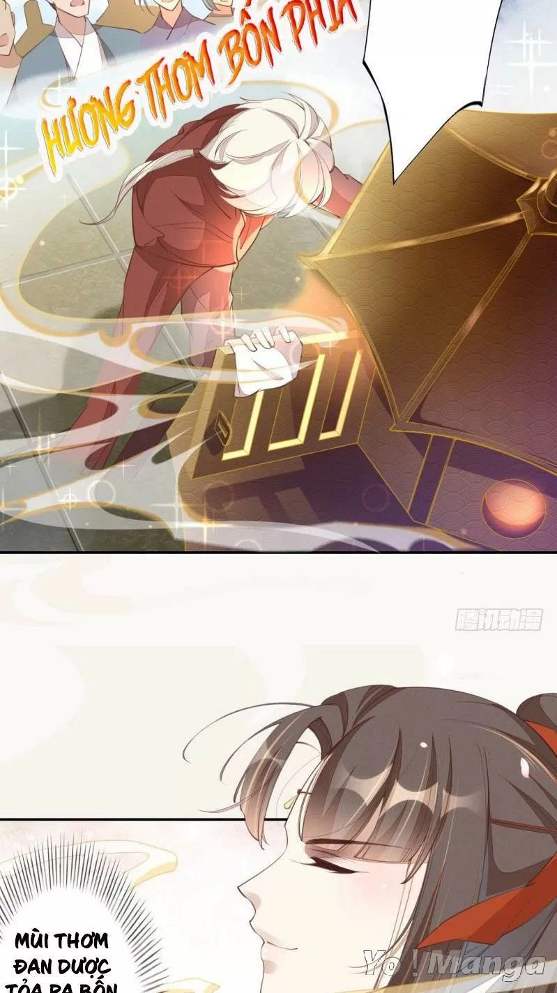 Tuyệt Thế Luyện Đan Sư Chapter 66 - 19