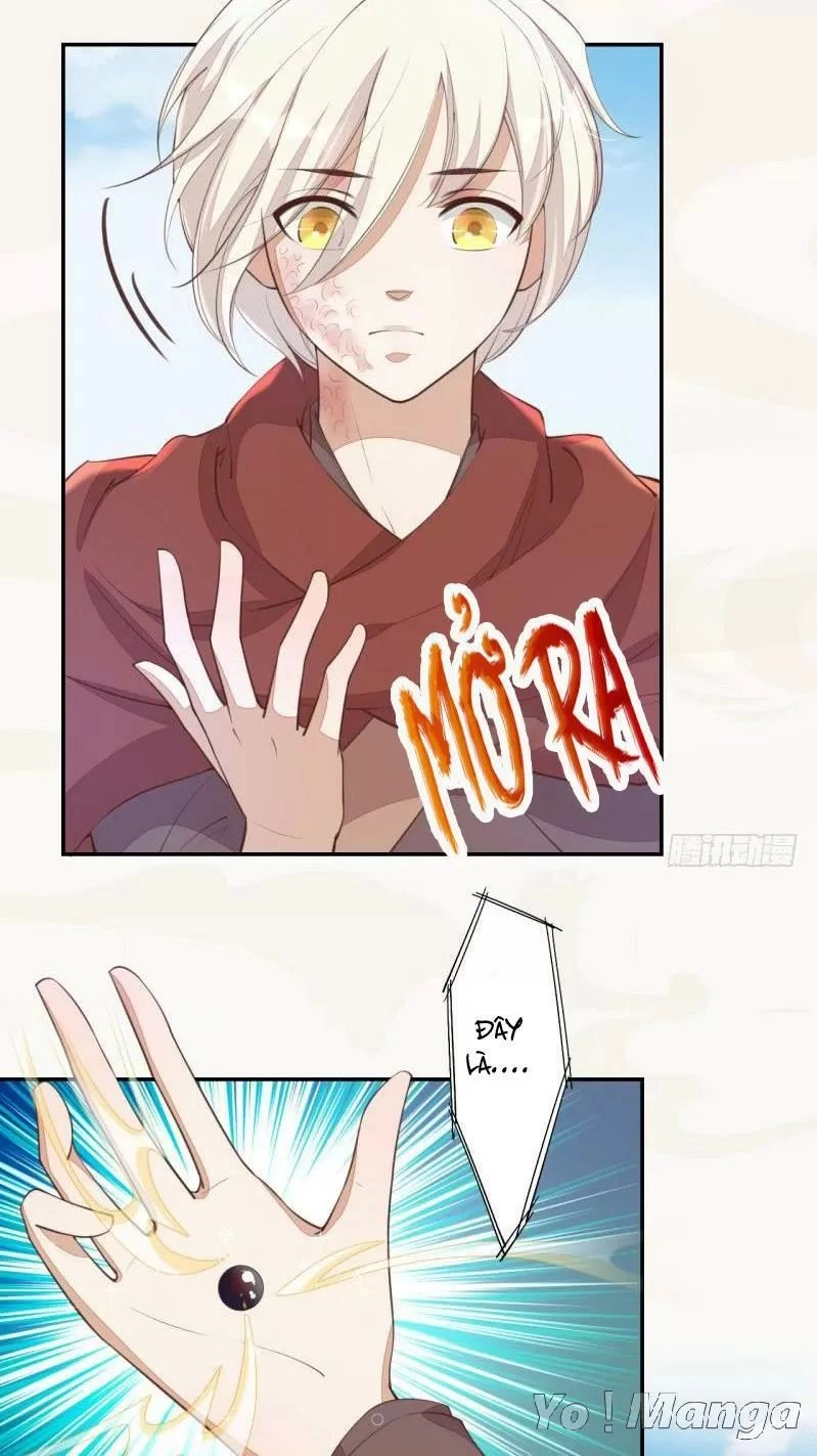 Tuyệt Thế Luyện Đan Sư Chapter 66 - 21