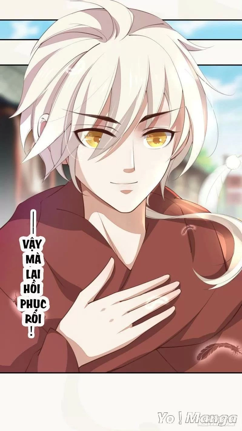 Tuyệt Thế Luyện Đan Sư Chapter 66 - 28