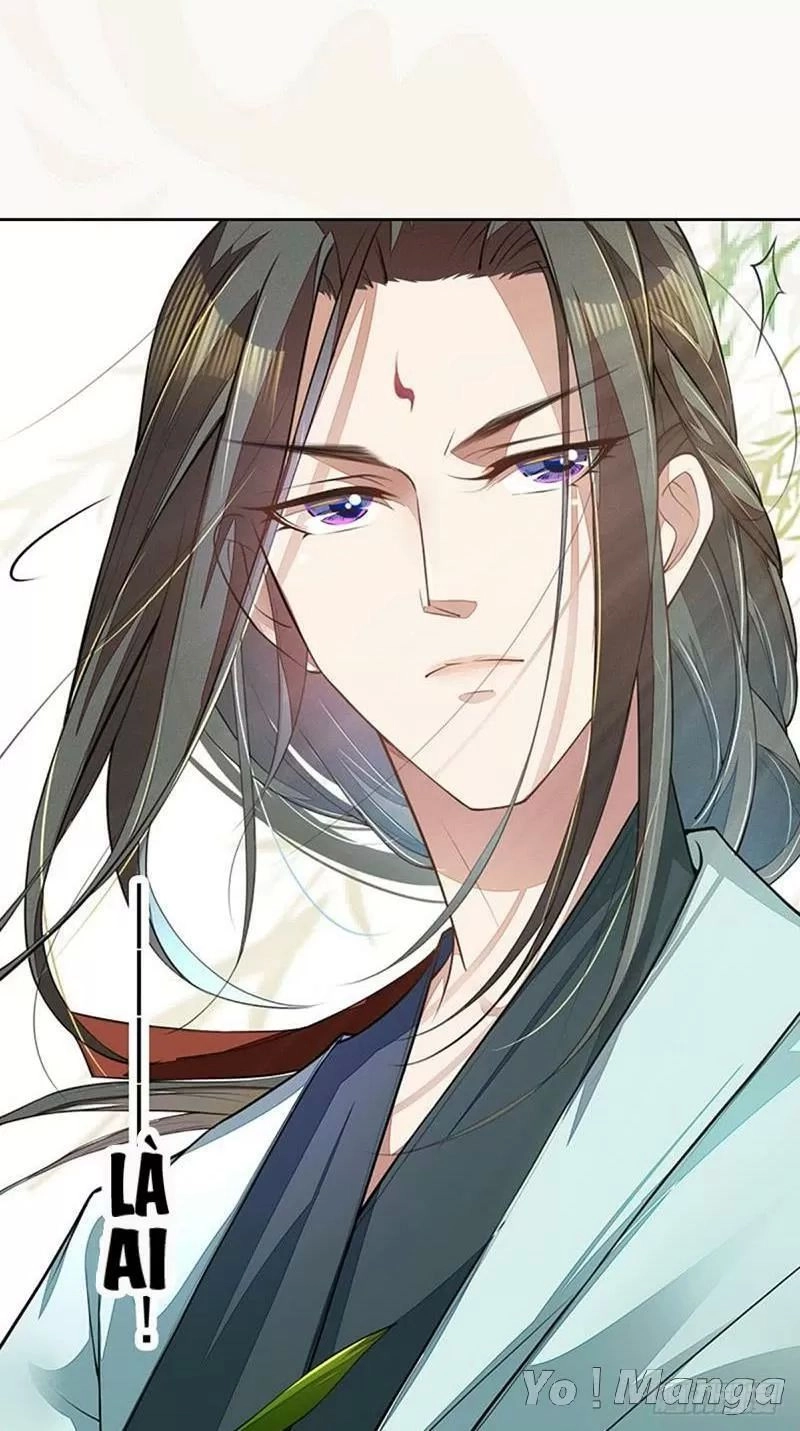 Tuyệt Thế Luyện Đan Sư Chapter 71 - 31