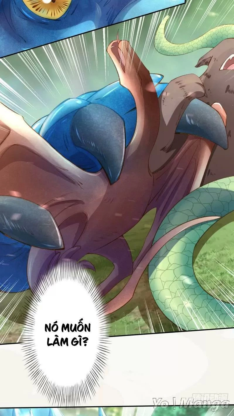 Tuyệt Thế Luyện Đan Sư Chapter 81 - 14