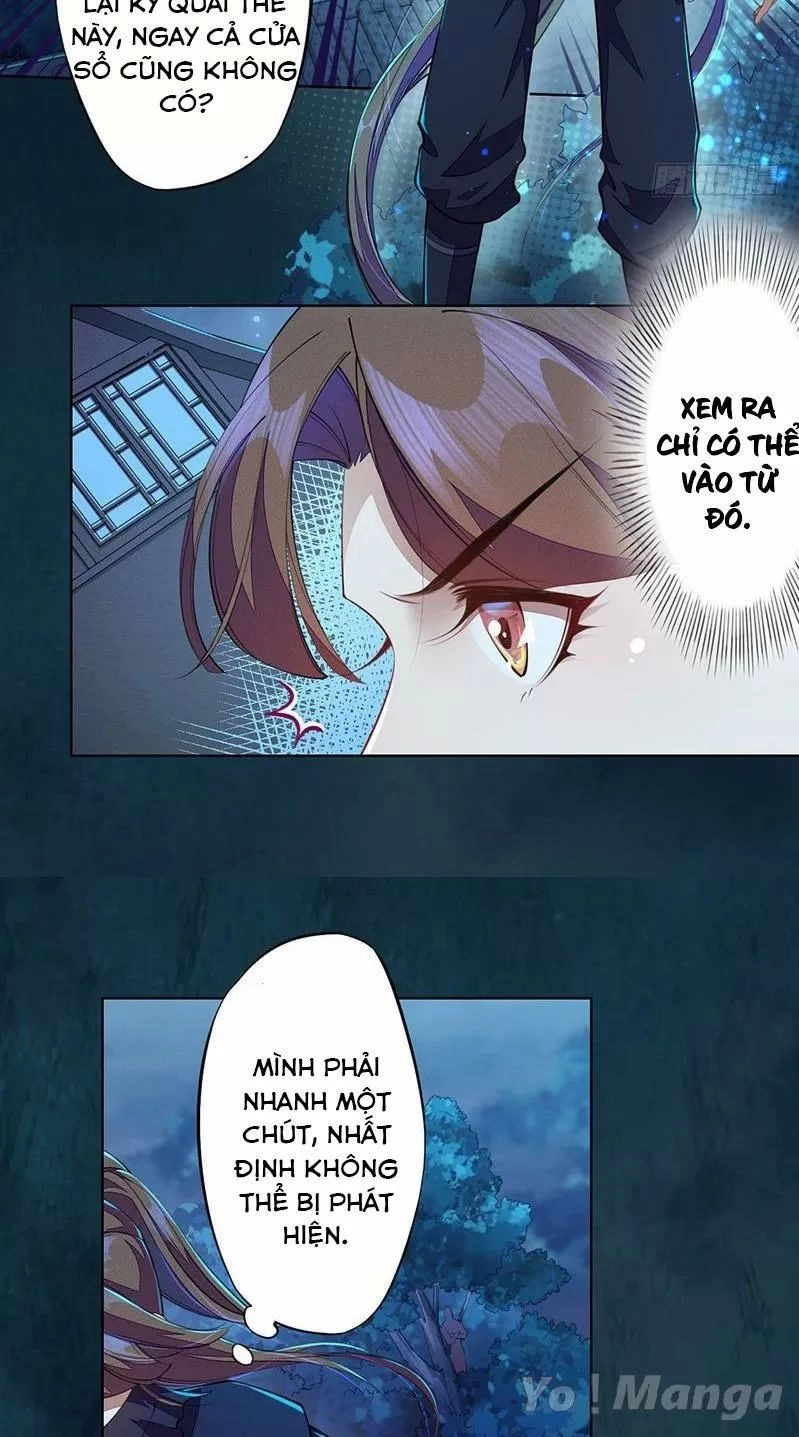 Tuyệt Thế Luyện Đan Sư Chapter 104 - 5