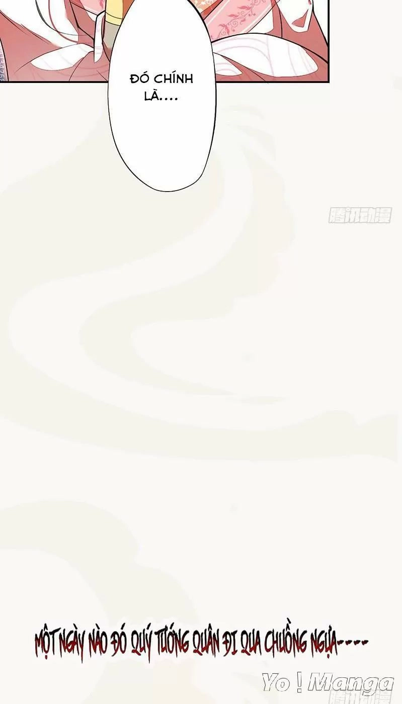 Tuyệt Thế Luyện Đan Sư Chapter 120 - 27