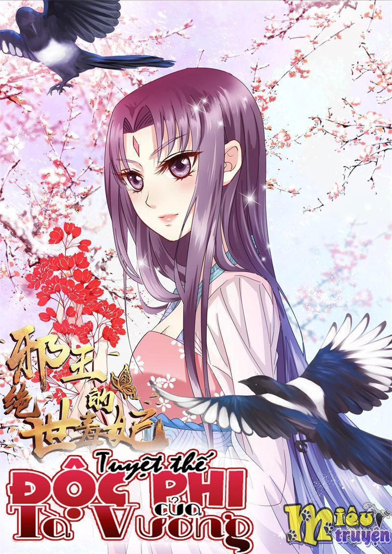 Tuyệt Thế Độc Phi Của Tà Vương Chapter 2 - 2
